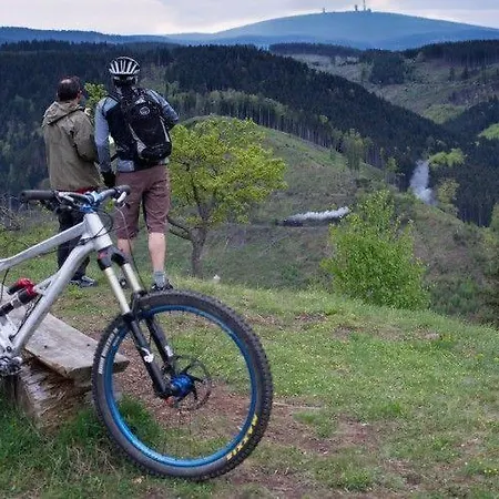 Апартаменты Ferienwohnung-am-wurmberg-2 *