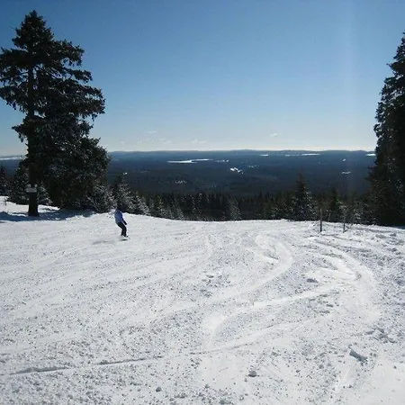 Апартаменты Ferienwohnung-am-wurmberg-2 Браунлаге
