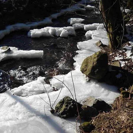 Апартаменты Ferienwohnung-am-wurmberg-2