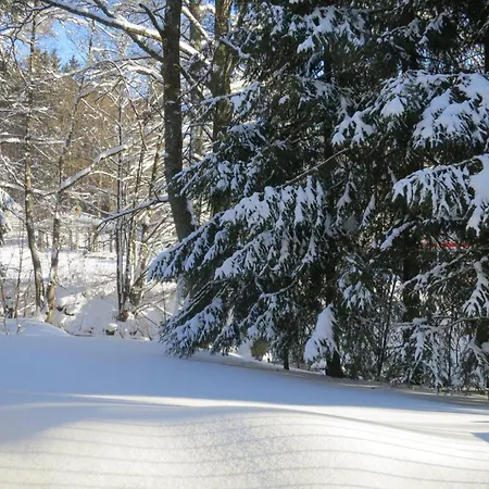 Ferienwohnung-am-wurmberg-2 Браунлаге