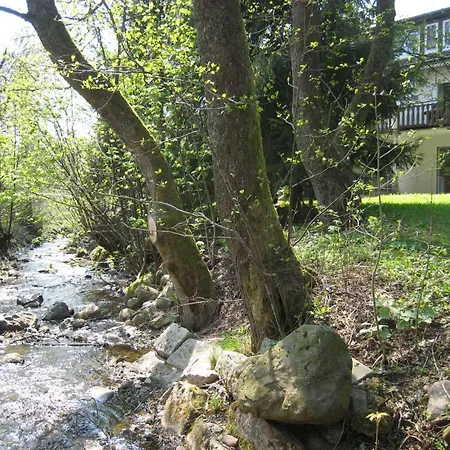 Daire Ferienwohnung-am-wurmberg-2