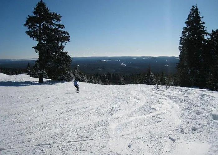 Daire Ferienwohnung-am-wurmberg-2 Braunlage