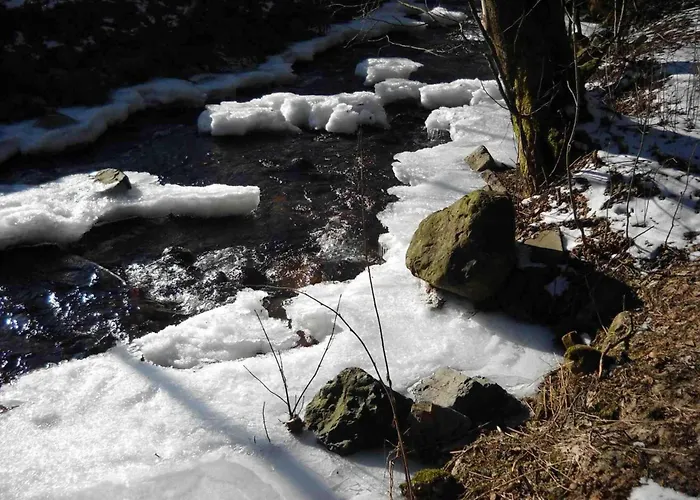 Daire Ferienwohnung-am-wurmberg-2