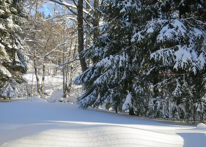 Ferienwohnung-am-wurmberg-2 Braunlage